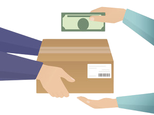 Designed by Julia Tim/ shutterstock